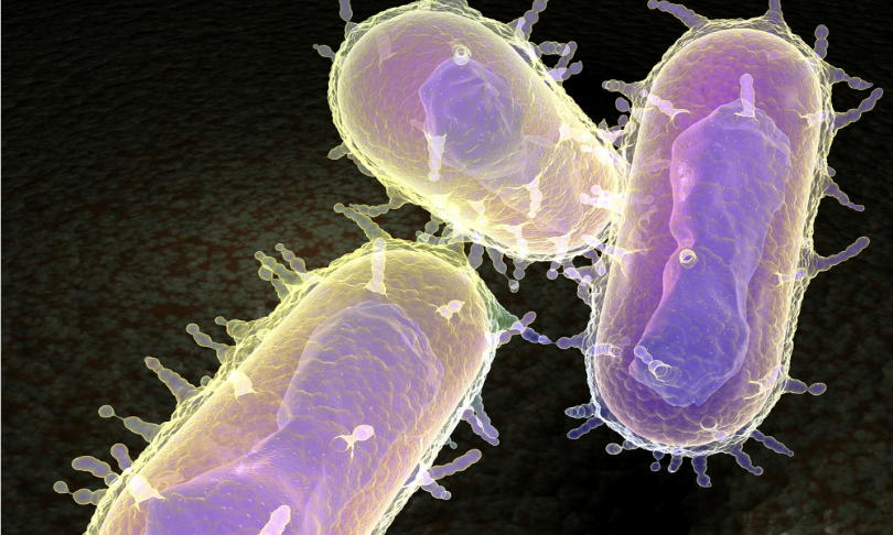 MichaelTaylor_plague_shutterstock