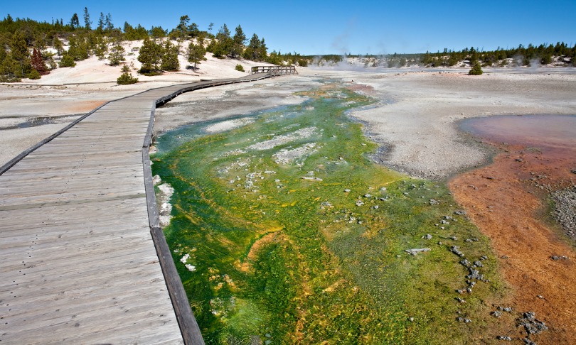 MikeBlanchard_algalbloom_shutterstock