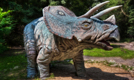 Miroslav_Petrasko_Triceratops