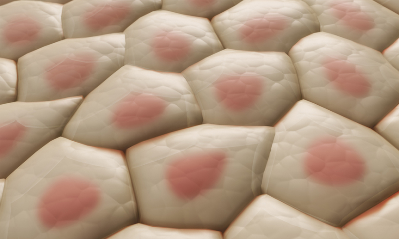 Mopic_SkinTissue_shutterstock