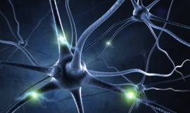 Sashkinw_Neurons_iStock