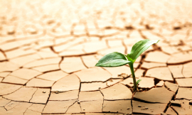 SilverV_SoilCracks_iStock