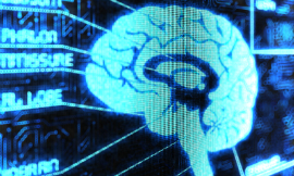 alengo_BrainRegions_iStock