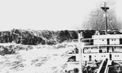 roguewave.jpg roguewave.jpg