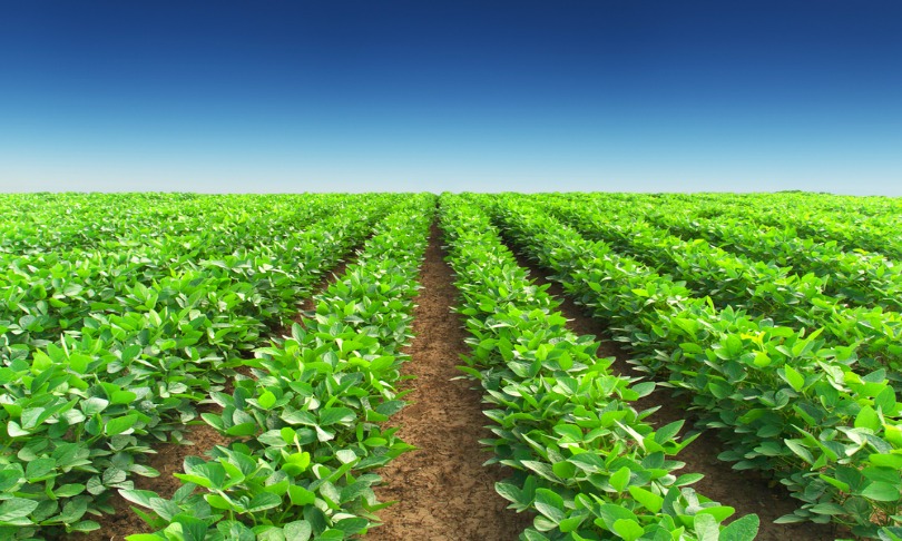 biletskiy_crops_shutterstock
