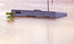david_jackmanson_-_qld_flood2.jpg david_jackmanson_-_qld_flood2.jpg