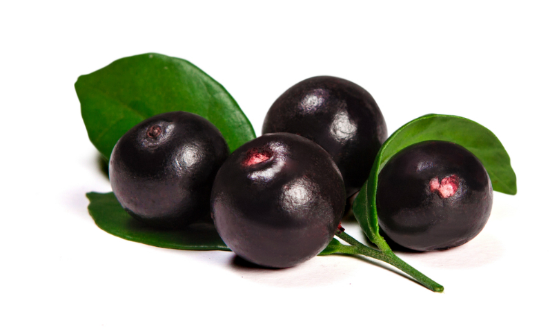 diogoppr_acai_shutterstock