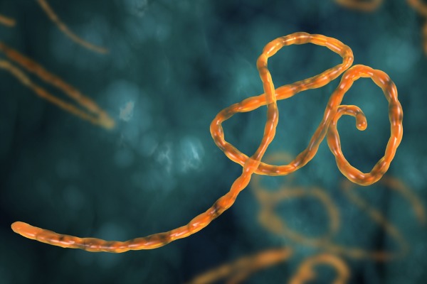ebola