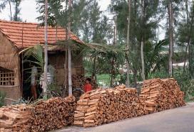 roadsidesales.jpg roadsidesales.jpg