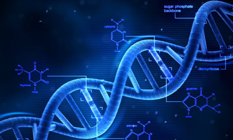 enot-poloskun_DNA_iStock