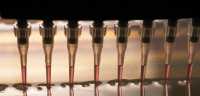 epigenetics epigenetics