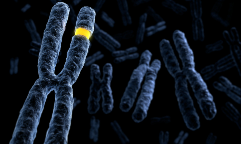 fpm_Chromosome_iStock