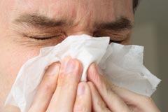 hayfever hayfever