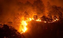 istock_bushfire.jpg istock_bushfire.jpg