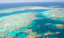 istock_coralreef.jpg istock_coralreef.jpg