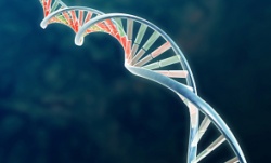 istock_dna_dark.jpg istock_dna_dark.jpg