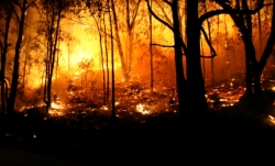 istock_fire.jpg istock_fire.jpg