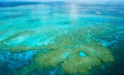 istock_greatbarrierreefsmall.jpg istock_greatbarrierreefsmall.jpg