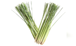 istock_herbal-medicine.jpg istock_herbal-medicine.jpg