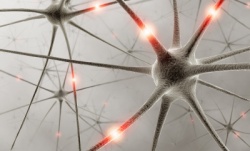 istock_nerve-cell.jpg istock_nerve-cell.jpg