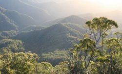 istock_rainforest.jpg istock_rainforest.jpg