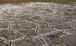 istock_salinity.jpg istock_salinity.jpg