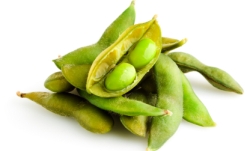 istock_soy.jpg istock_soy.jpg