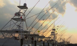 istock_fishingtrawlers.jpg istock_fishingtrawlers.jpg