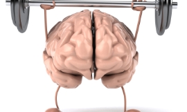 julos_-_brain_training