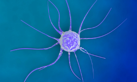 luismmolina_CancerCell_iStock