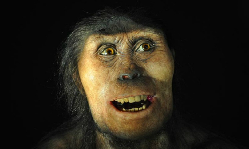 marcovdz_Neanderthal_Flickr