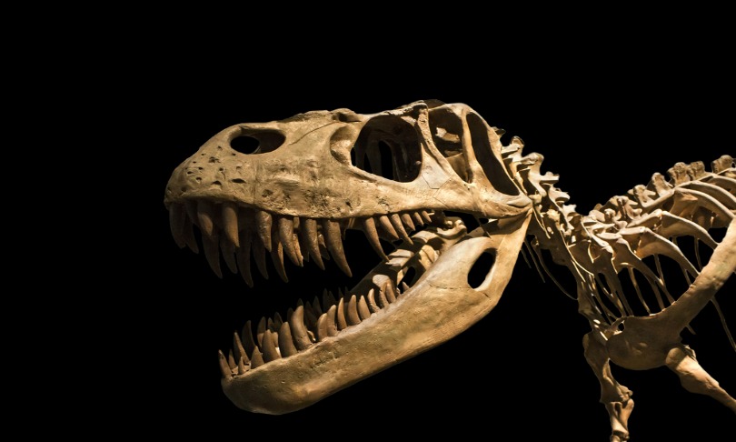 marques_dinosaurs_Shutterstock