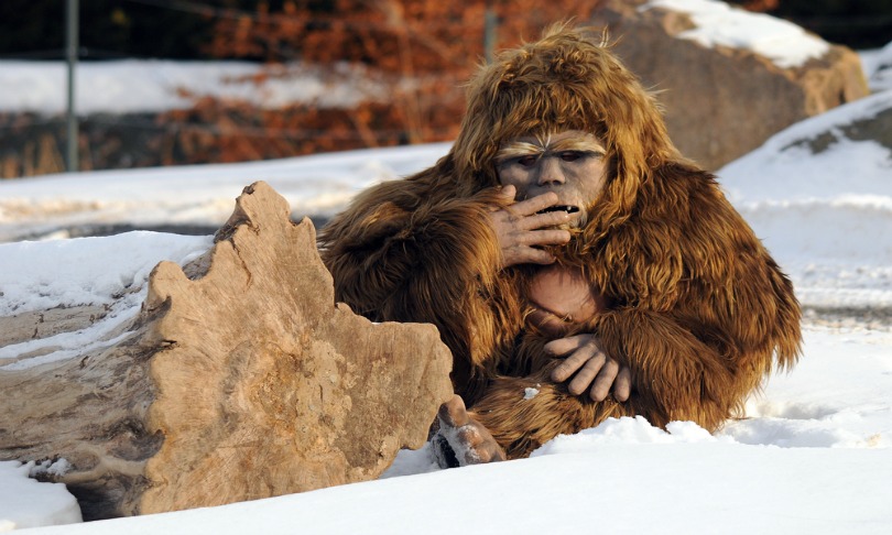 meunierd_yeti_shutterstock