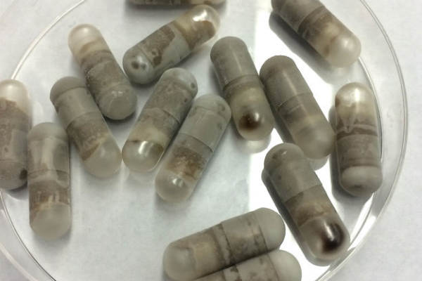 poop-pills-c8a44bb5a03771bd9fd251d2b57d28c653f8fd2b-s4-c85web