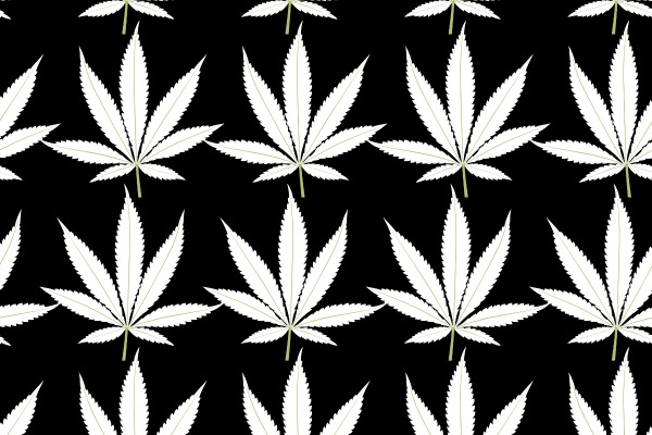 weed