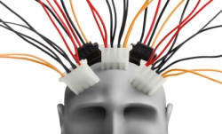 nic_white_-_brain_wiring.jpg nic_white_-_brain_wiring.jpg