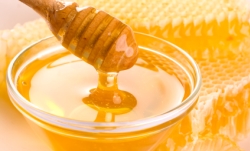 o76_-_honey.jpg o76_-_honey.jpg