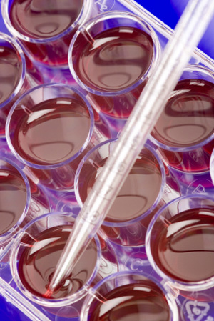 istock_stemcell_sm.jpg istock_stemcell_sm.jpg