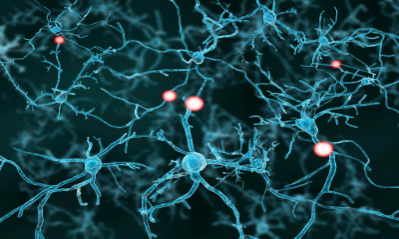 selvanegra_brainplasticity_istock