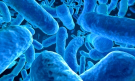 spanteldotru_-_microbes