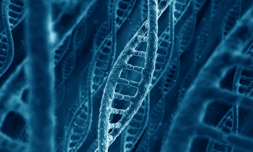 zentilia_junkDNA_Shutterstock
