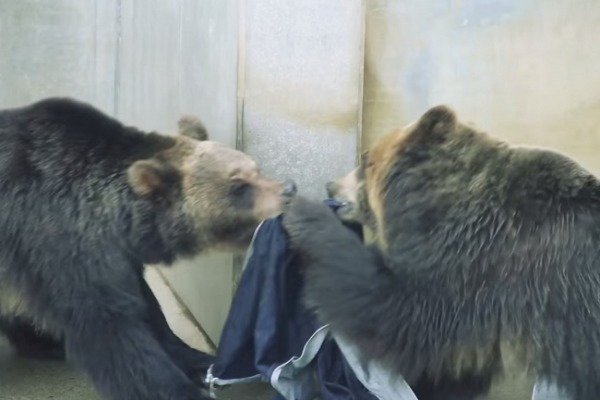 zoo-jeans