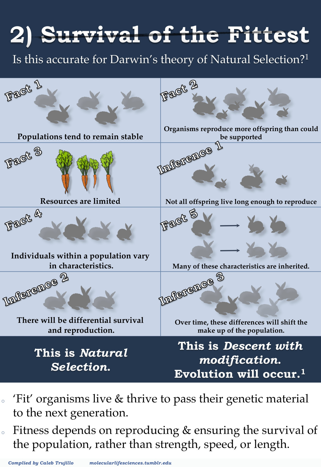 This Infographic Breaks Down The Top Five Misconceptions -6583